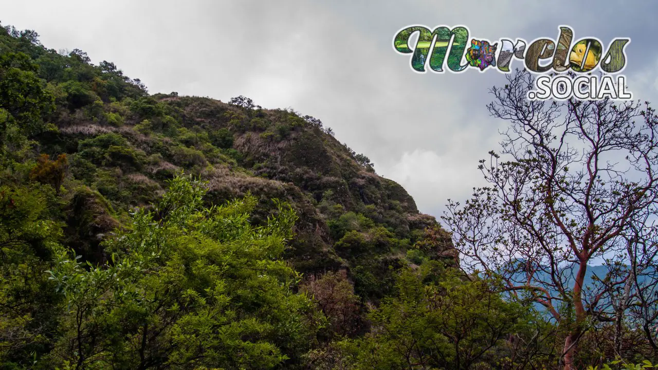 Paisaje dentro del Cerro de la Luz del pueblo mágico de Tepoztlán, Morelos, México